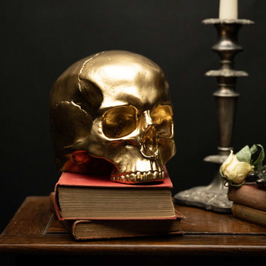 Gold Edition Human Male Replica Skull Ornament by The Blackened Teeth Ltd Gothic Home Decor