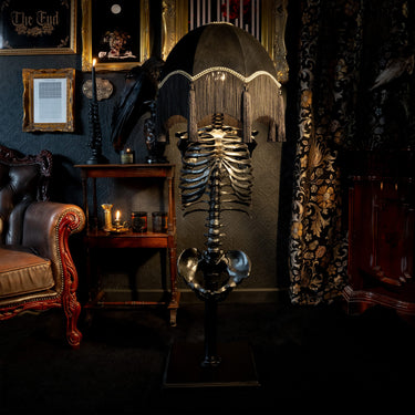 enid edition black skeleton floor lamp gothic lighting - the blackened teeth - gothic home decor
