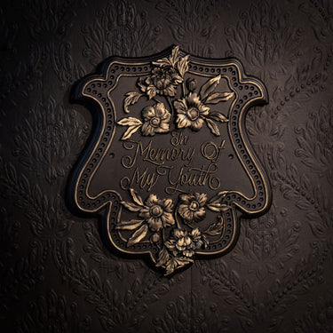 In Memory of My Youth Plaque by The Blackened Teeth Ltd
