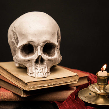 Skull of Jane Doe Ornament - Natural