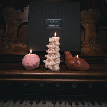 Anatomy Candles Gift Box