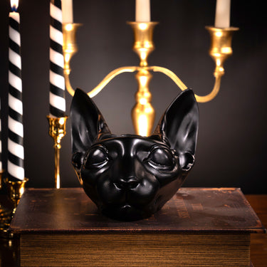 Sphynx Pot